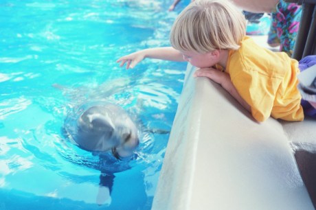 G.K. Chesterton write about this in Orthodoxy, and while I don't think you must subscribe to all he does in that book to raise renaissance children, I think one element is crucial: you must have a sense of the miraculous, a sense of enchantment, a sense of the beauty of creation. And you must be able to convey that to your child.    Perhaps it requires seeing the world again through his eyes: the magic of a butterfly, the sheer, fragile iridescence of bubbles from a bubble jar; the heartbreak of little blue robins' eggs fallen from their nest; the strains of certain music that cause your baby's fat arms to pump.  These are things that we parents experience almost involuntarily when we welcome our newborns, but they can easily fall by the boards when we're tired and cranky.  Perhaps the challenge as a parent is to maintain that childlike sense of observation even as our children outgrow it. For it is true, is it not?, that all of life is a testament to beauty and wonder and joy.  If we lose that sense of surprise and delight, then it would be no surprise for our children also to lose it. And this entire task of raising renaissance children who then become renaissance adults is about encouraging them to retain their wonder at the world.